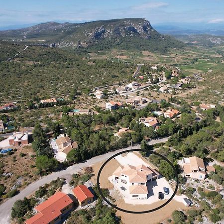 Trois Appartements Au Sein Du Mas Jams - Le Gouleyrous, Le Canigou Et Le Figarassa Vingrau Buitenkant foto