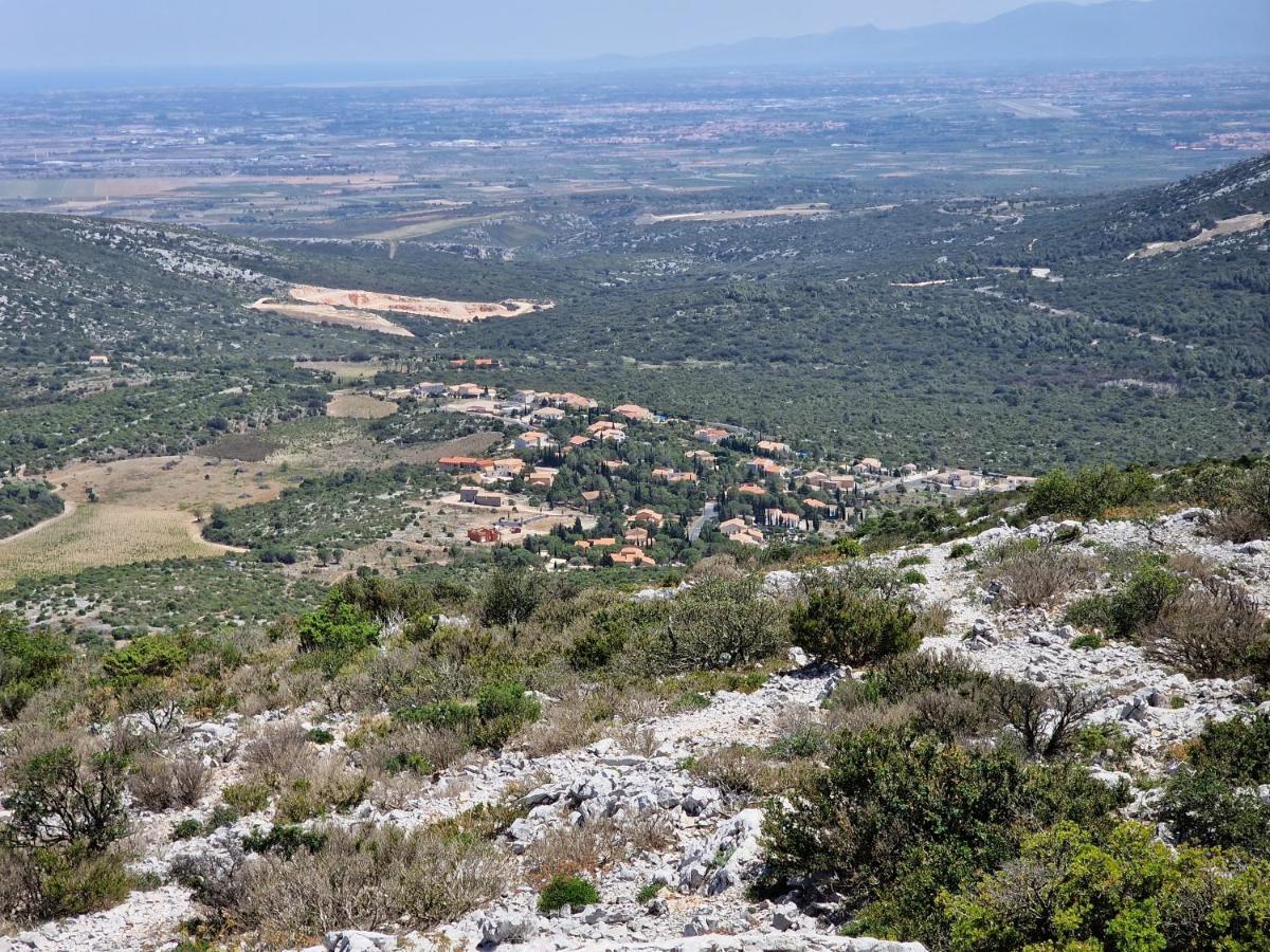 Trois Appartements Au Sein Du Mas Jams - Le Gouleyrous, Le Canigou Et Le Figarassa Vingrau Buitenkant foto